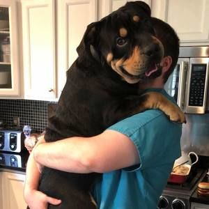 Meet your Posher, Bryce